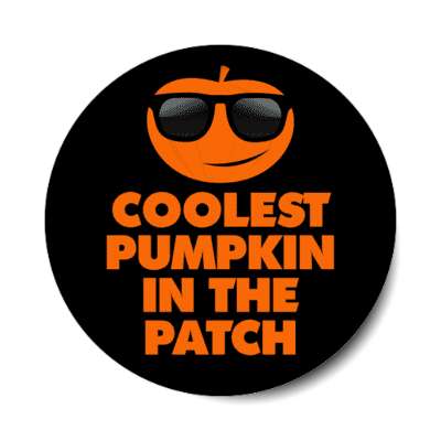 coolest pumpkin in the patch sunglasses stickers, magnet