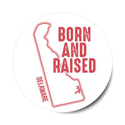 delaware born and raised state outline stickers, magnet