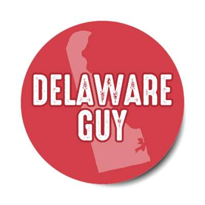 delaware guy us state shape stickers, magnet