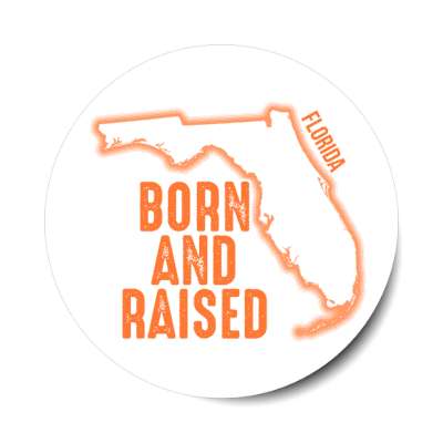 florida born and raised state outline stickers, magnet