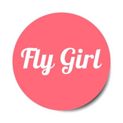 fly girl planes aviation stickers, magnet