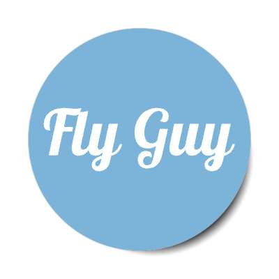 fly guy planes aviation stickers, magnet