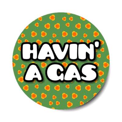 havin a gas 1960s slang funny stickers, magnet