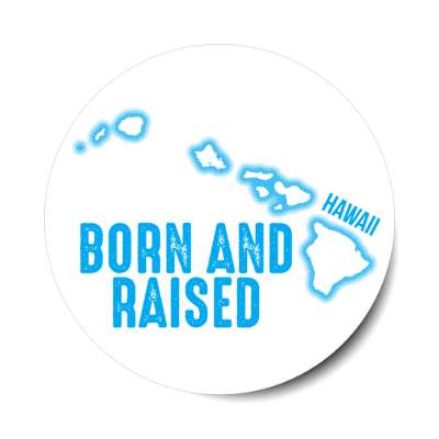 hawaii born and raised state outline stickers, magnet