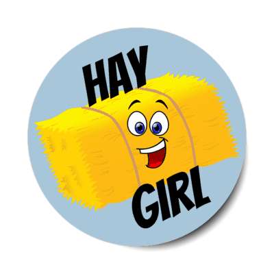 hay girl bale of hay wordplay stickers, magnet