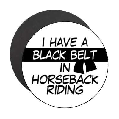 i have a black belt in horseback riding stickers, magnet