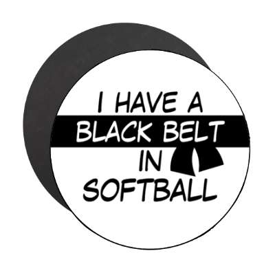 i have a black belt in softball stickers, magnet