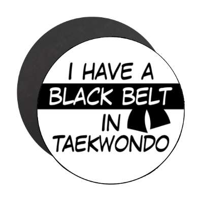 i have a black belt in taekwondo stickers, magnet