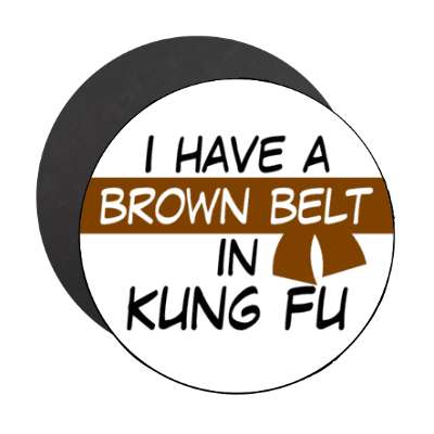 i have a brown belt in kung fu stickers, magnet