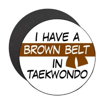 i have a brown belt in taekwondo stickers, magnet
