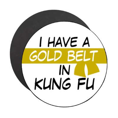 i have a gold belt in kung fu stickers, magnet