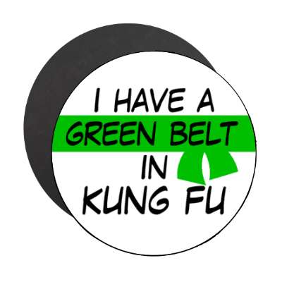 i have a green belt in karate stickers, magnet