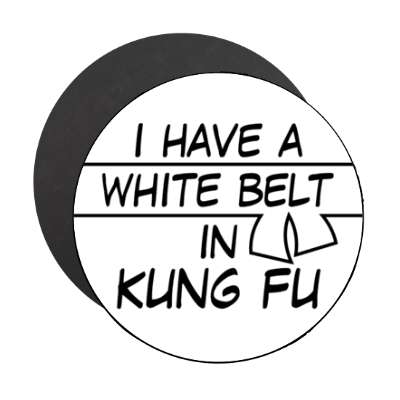 i have a white belt in kung fu stickers, magnet