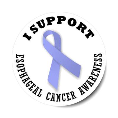 i support esophageal cancer lavender awareness ribbon stickers, magnet