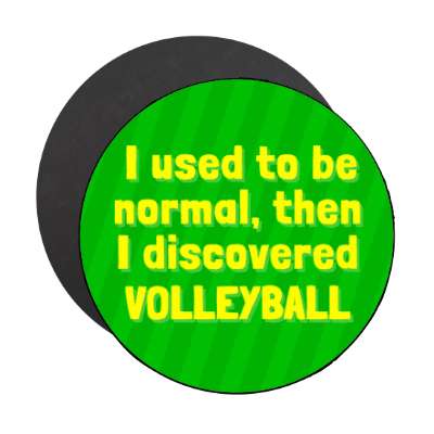 i used to be normal then i discovered volleyball stickers, magnet
