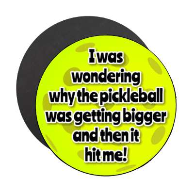 i was wondering why the pickleball was getting bigger and then it hit me stickers, magnet