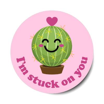 im stuck on you smiling cactus stickers, magnet