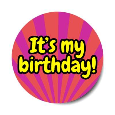its my birthday rays pale red raspberry cute party stickers, magnet