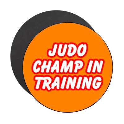 judo champ in training stickers, magnet