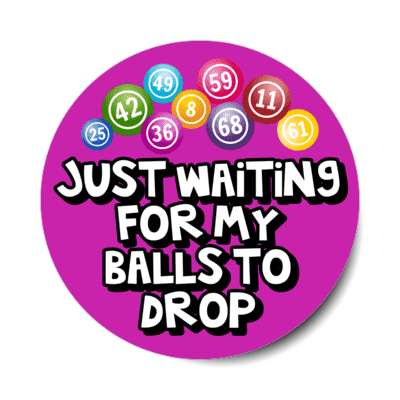 just waiting for my balls to drop bingo humor wordplay stickers, magnet