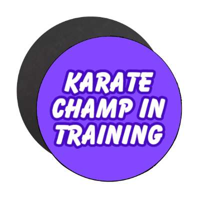 karate champ in training stickers, magnet