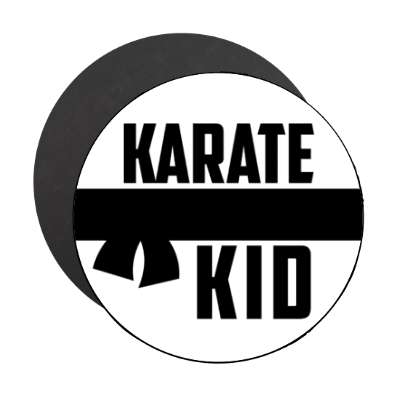 karate kid martial arts stickers, magnet