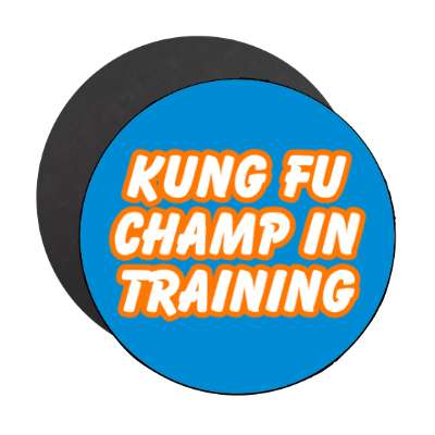 kung fu champ in training stickers, magnet