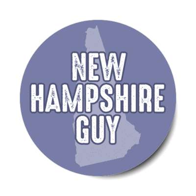 new hampshire guy us state shape stickers, magnet