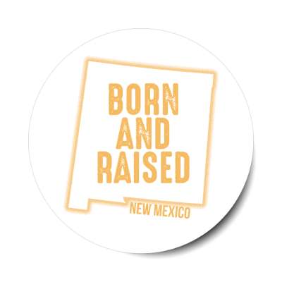 new mexico born and raised state outline stickers, magnet