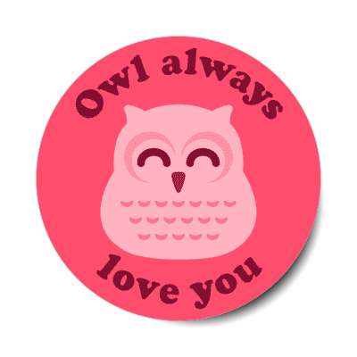 owl always love you wordplay novelty stickers, magnet