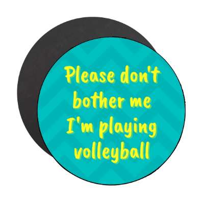 please dont bother me im playing volleyball stickers, magnet