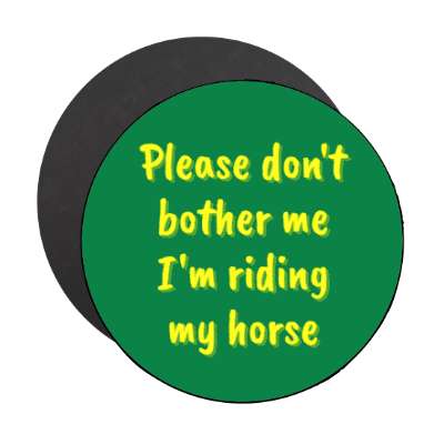 please dont bother me im riding my horse stickers, magnet