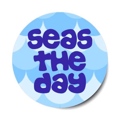 seas the day water carpe diem seize stickers, magnet