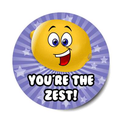smile face lemon youre the zest star burst rays stickers, magnet