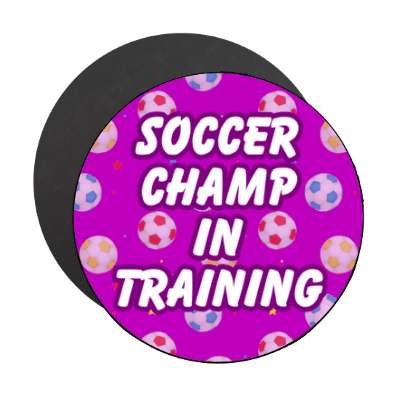 soccer champ in training stickers, magnet