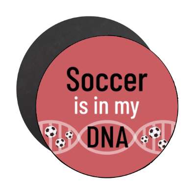 soccer is in my dna stickers, magnet