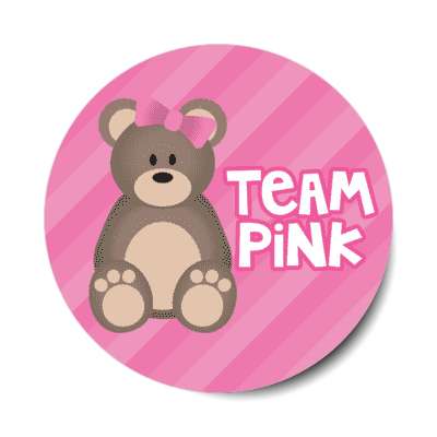 team pink stripes teddy bear with ribbon baby girl stickers, magnet