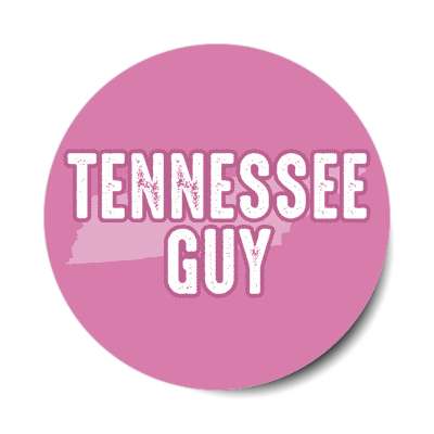 tennessee guy us state shape stickers, magnet