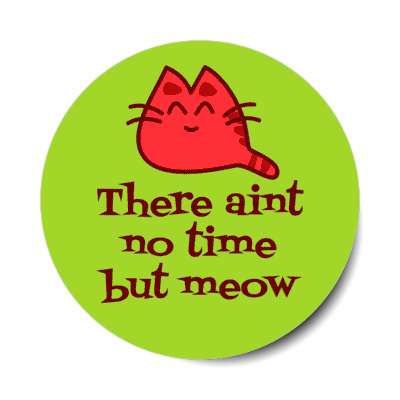 there aint no time but meow now cute cat smile face stickers, magnet