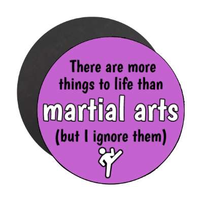 there are more things to life than martial arts but i ignore them stickers, magnet