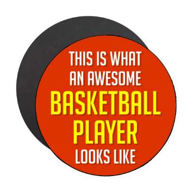 this is what an awesome basketball player looks like stickers, magnet