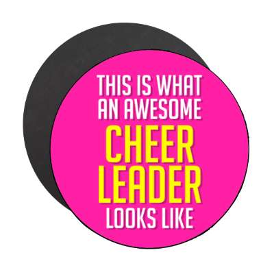 this is what an awesome cheer leader looks like stickers, magnet