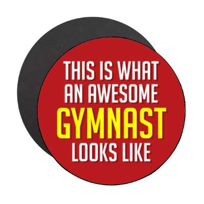 this is what an awesome gymnast looks like stickers, magnet