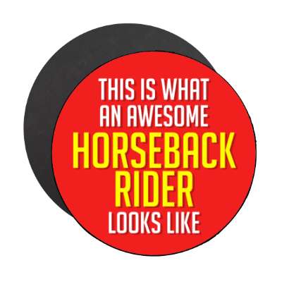this is what an awesome horseback rider looks like stickers, magnet
