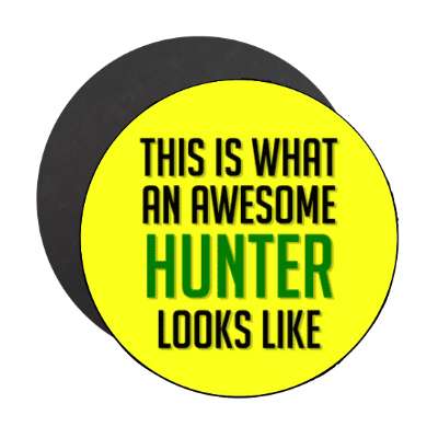 this is what an awesome hunter looks like stickers, magnet