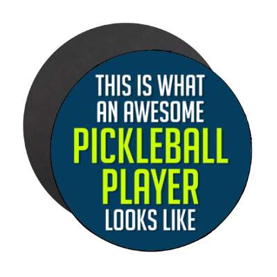 this is what an awesome pickleball player looks like stickers, magnet