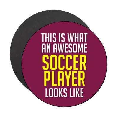this is what an awesome soccer player looks like stickers, magnet