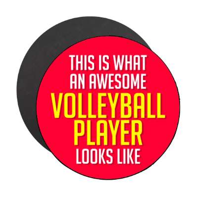 this is what an awesome volleyball player looks like stickers, magnet