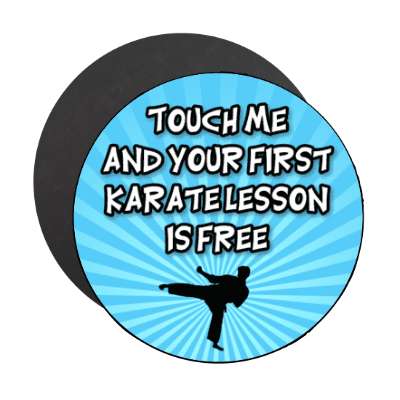 touch me and your first karate lesson is free kicking silhouette stickers, magnet