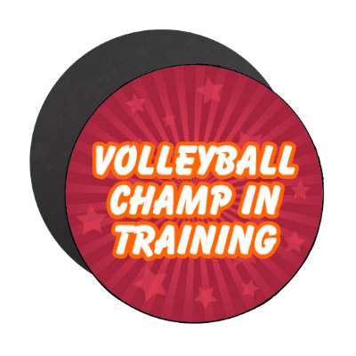 volleyball champ in training stickers, magnet